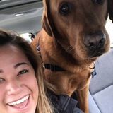 Hardworking Pet Sitter for Hire