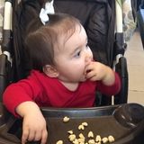 Looking to baby sit during the day