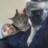 For Hire: Dedicated Dog Walker and pet care expert in Fountain Inn, South Carolina. Let me love on your pets when you can't.