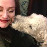 Passionate Pet Sitter/ Dog walker!