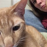 Houston Area Pet Sitter.
Passionate about animal care.
Specifically cats and rabbits.
Also experience with dogs and reptiles.