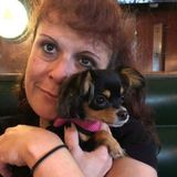 Very Experienced Pet Sitter