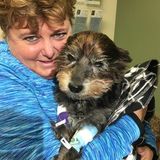 Safety Harbor Animal Caregiver Available For Work in Florida