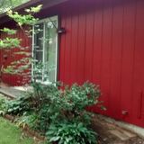 Complete painting services