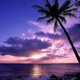 Sebastian Based Elder Care Provider Who is Knowledgeable and Ready to Help