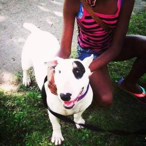 Pet Care Provider Davon J's Profile Picture