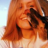 Disciplined Dog Sitter for Hire