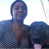 Interested In Pittsburg Dog Walker Jobs
