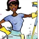 Professional Detailed House Cleaner