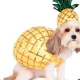 For Hire: Great Petsitter in Caledonia