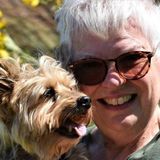 Des Moines and Central Iowa House Sitting Team Available. Caring, Responsible and Committed to our Clients and their Pets!