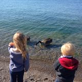 Needed: Toronto, Ontario Child Care Provider