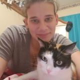 Wonderful Cat Sitting Professional