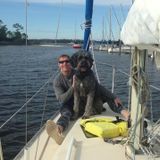 Pet Loving House Sitter