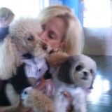 Pet Walking/Sitting Services offered in Clifton and Surrounding Towns