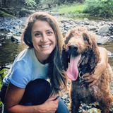 Great house sitter, even better company for your animals!