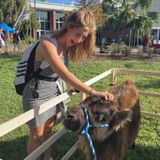 Professional Petsitter Available When Needed & Flexible