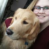 Caring dog owner looking to petsit your fur babies!