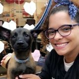 Super Positive, Fun Animal loving gal who would love to meet and care for your lovely fur children