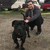 Talented Pet Care Provider in Lancaster