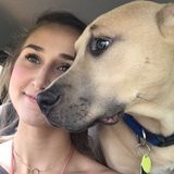 Animal loving girl who would love nothing more than to animal sit whenever needed!