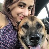 Interviewing For The Colony Animal Caregiver Jobs
