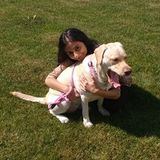 Loving and Reliable Animal Caregiver with Flexible Hours!