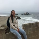 House Sitting Provider in Chico