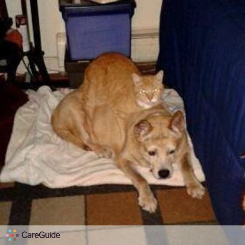 Pet Care Provider Alex C's Profile Picture