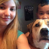 Available For Manchester Pet Trainer Jobs