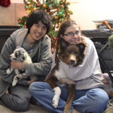 Available: Trustworthy Petsitter in Salt Lake City, Utah