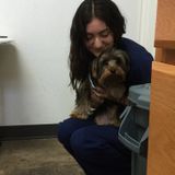 Pet feeding and cleaning!