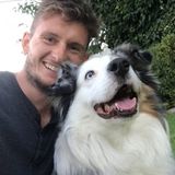 For Hire: Skilled House and Petsitter in Burbank, California