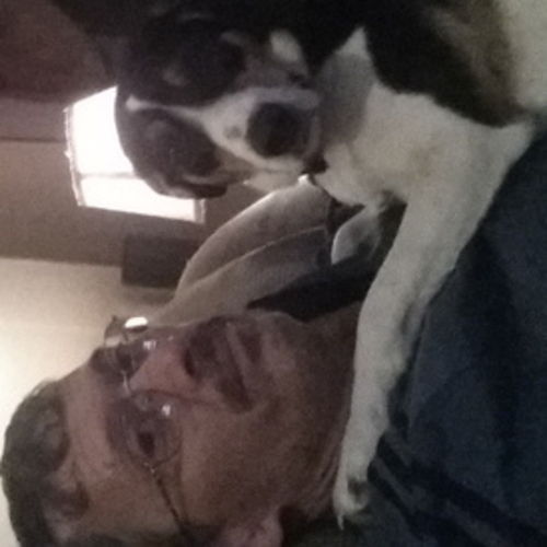 Pet Care Provider Brian B's Profile Picture