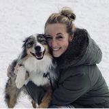 Experienced Dog sitter/ dog walker in Las Vegas