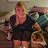 Dog walking and occasional cat sitting