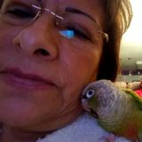 I am Eva Rodas. I am offering bird sitting services, I have lots of experience caring for my own parrots.
