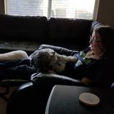 Seeking a Dog Walker Job in San Jacinto