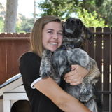 Excellent Pet Care Provider