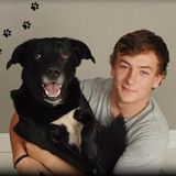 Caring Pet Care Provider