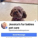 Professional pet sitter Owner of Jessicas fur babies pet care !Reliable and dependable and always here to help