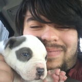 Los Banos Petsitter Searching for Being Hired