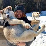 10/day Cat Sitter $10/hour Dog Walker - TORONTO