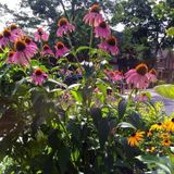 Gardening Help for Your Green Space