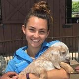 Fun, Reliable Pet Sitter!