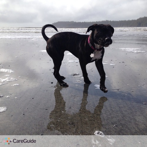 Pet Care Job Sarah R's Profile Picture