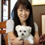 Seasoned Pet Care Provider in Mississauga