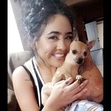 Looking For a House and Pet Sitter Opportunity in San Antonio