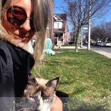Nice person with passion for animals