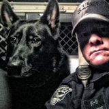 Police K9 Ranger needs a sitter